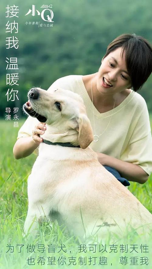 戴顿大学理工科文凭证书